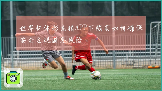 世界杯体彩竞猜APP下载前如何确保安全合规避免风险