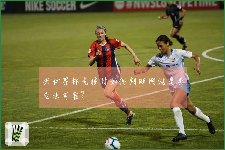 买世界杯竞猜时如何判断网站是否合法可靠？