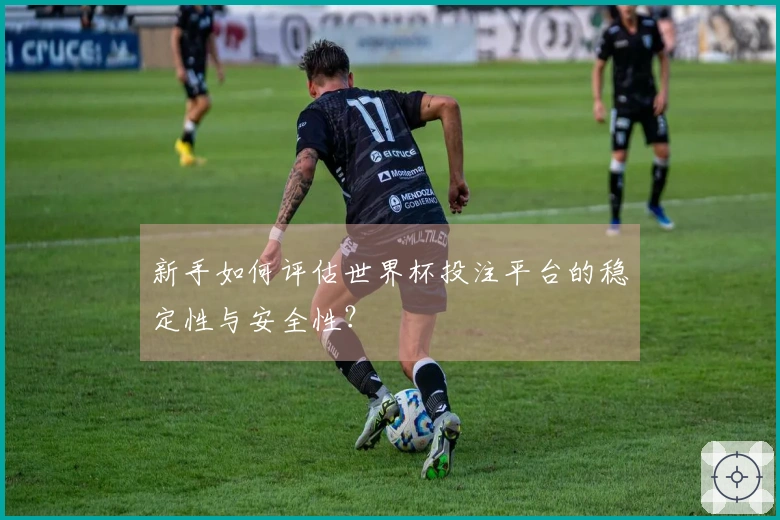 新手如何评估世界杯投注平台的稳定性与安全性？