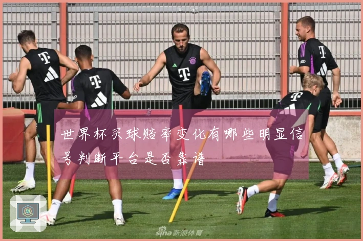 世界杯买球赔率变化有哪些明显信号判断平台是否靠谱