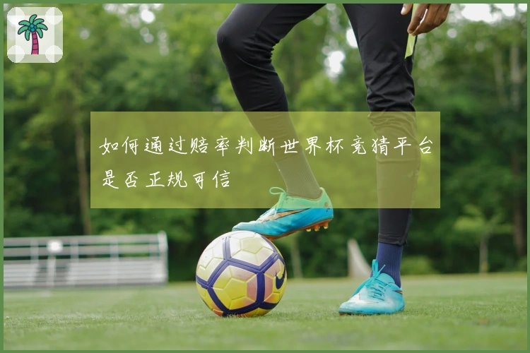 如何通过赔率判断世界杯竞猜平台是否正规可信