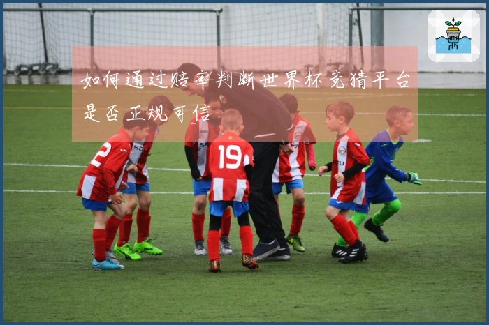 如何通过赔率判断世界杯竞猜平台是否正规可信