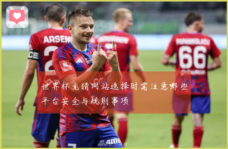 世界杯竞猜网站选择时需注意哪些平台安全与规则事项